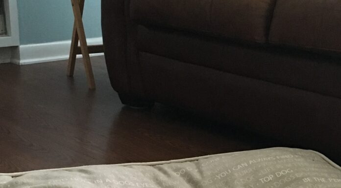 Ležaljke i kreveti za pse kreveti za pse