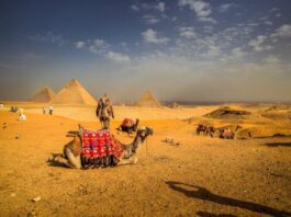 beduinsko iskustvo